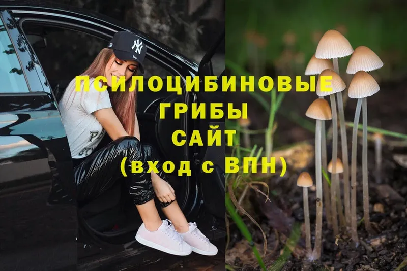 Псилоцибиновые грибы Psilocybine cubensis  купить наркотик  ссылка на мегу вход  Изобильный 